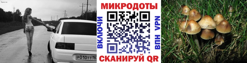 блэк спрут вход Кизляр Псилоцибиновые грибы Magic Shrooms