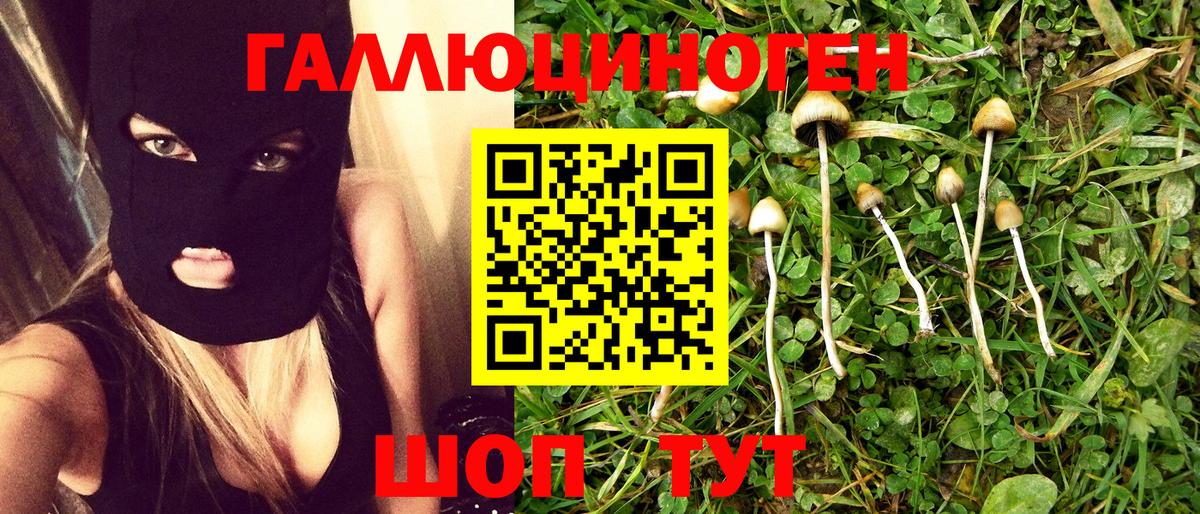 Кизляр  Псилоцибиновые грибы прущие грибы  купить наркоту  Вход с VPN 
