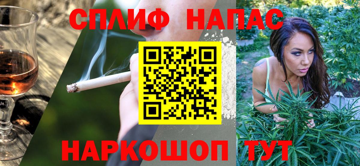 Канабис планчик Кизляр